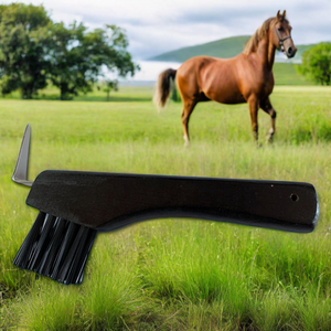 Commercio all'ingrosso di legno <span class=keywords><strong>cavallo</strong></span> <span class=keywords><strong>zoccolo</strong></span> Pick spazzola fabbrica-qualità prodotti per la <span class=keywords><strong>cura</strong></span> del <span class=keywords><strong>cavallo</strong></span> - Product Image 3