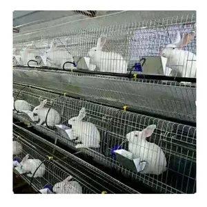 A type Galvanized metal rabbit breeding cage for sale