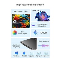 Moniteur portable double écran 4K 15,6 pouces Écran LCD IPS 350 nits 72% NTSC Type C 60Hz pour les entreprises