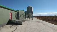 Silo à alimentation de 20 tonnes pour élevage de volailles et de porcs