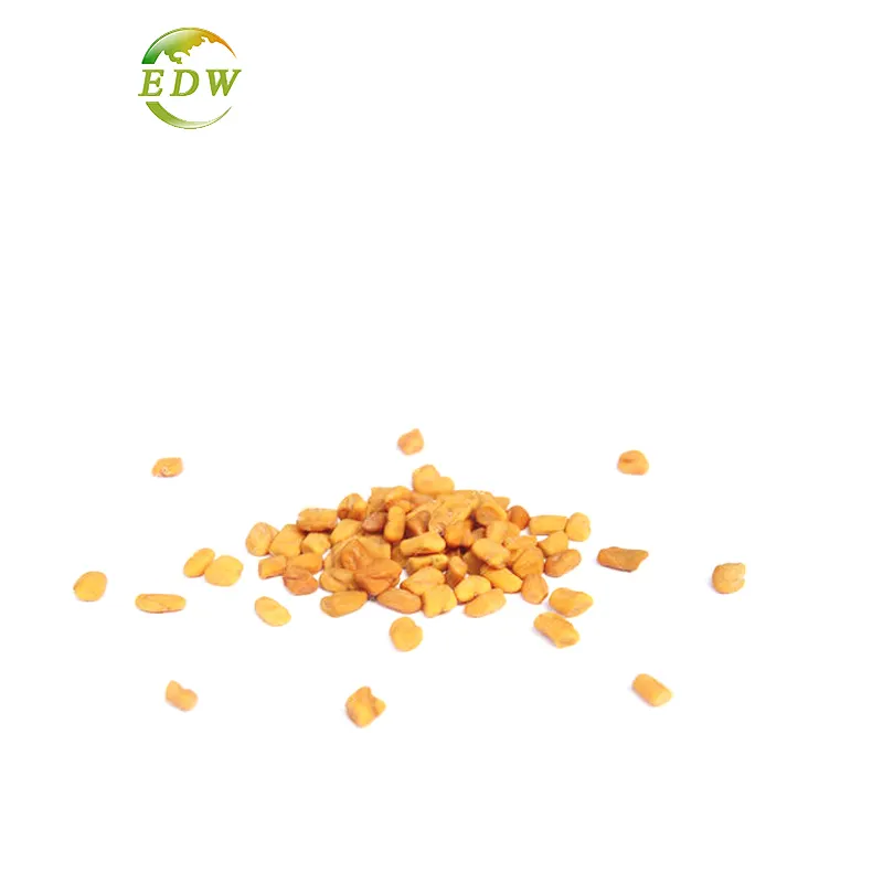 Bulk Good Price Fenugreek Extract Fenugreek Powder Food Grade Fenugreek Seed Extract