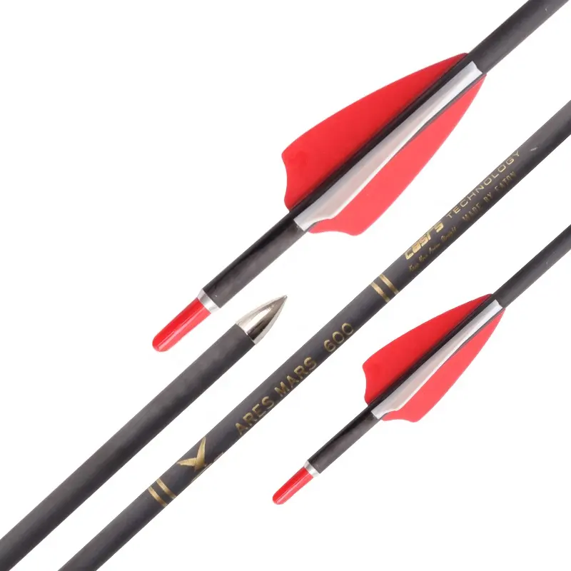 Zhan Yi Archery Carbon Arrow Target 6 Pack 600 Spine with Plastic Vanes Field Tips for Compound Recurve Bows 