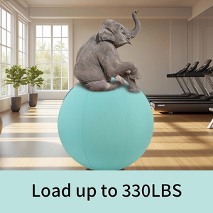 Funda <span class=keywords><strong>de</strong></span> Pelota <span class=keywords><strong>de</strong></span> Yoga <span class=keywords><strong>de</strong></span> Algodón Resistente y Cómoda para Entrenamiento <span class=keywords><strong>de</strong></span> <span class=keywords><strong>Pilates</strong></span> y Fitness, Fabricada por Zhensheng - Product Image 6