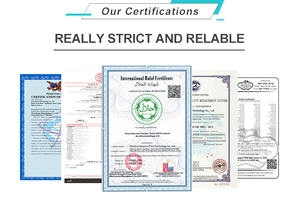 Poudre d'hydratation en vrac à marque privée OEM, poudre d'électrolytes, complément sportif, boisson en poudre aux électrolytes et vitamines - Product Image 5