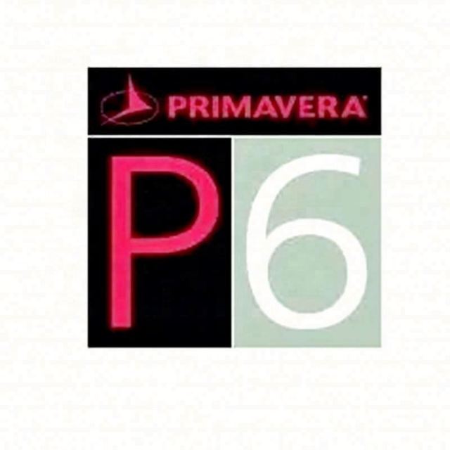 P6 Lifetime One Drive Send Download Link Stand-alone Engineering Project Management Software Orac Primavera P6