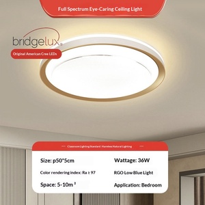 Plafonnier LED moderne et simple pour chambre à coucher 2026, ambiance élégante pour salon, protection oculaire, Zhongshan - Product Image 6