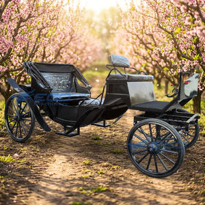Fabricant de chariots de luxe électriques pour le tourisme, chariots de mariage, chariots de tourisme électriques sans chevaux à vendre - Product Image 1