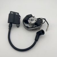 Stator Rotor Volant Bobine d'Allumage de Remplacement pour KTM 50 SX Senior Pro Junior Mini Adventure