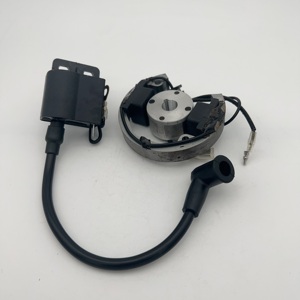 Stator Rotor Volant Bobine d'Allumage de Remplacement pour <span class=keywords><strong>KTM</strong></span> <span class=keywords><strong>50</strong></span> SX Senior Pro <span class=keywords><strong>Junior</strong></span> Mini Adventure - Product Image 2