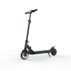 Patinete eléctrico de 250W con dos ruedas y la batería plegable más pequeña 4Ah 6Ah 8Ah 10Ah patinete eléctrico citycoco