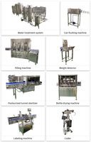 Prix usine à petite échelle 300BPH 330ml Ligne de production de canettes de bière et d'aluminium Machine de remplissage de mise en conserve et de bière
