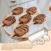 Kit de découpe de cakesicles et moule à cake pops avec plateau de 22 cm, 100 bâtonnets en bois et 100 sacs, moule en silicone pour cakesicles et cake pops