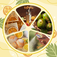 Coffret Cadeau d'Huiles Essentielles d'Agrumes en Gros : Orange Douce, Bergamote, Pamplemousse, Citron, Mandarine, Citron Vert pour Diffuseur d'Arômes et Cosmétiques