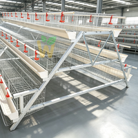 Cage à poulets automatique galvanisée anti-rouille de type A/H à 4 niveaux avec mangeoire, équipement d'élevage avicole