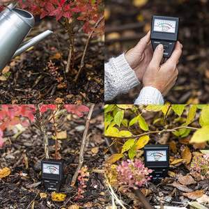 <span class=keywords><strong>Testeur</strong></span> d'acidité du sol et <span class=keywords><strong>de</strong></span> <span class=keywords><strong>pH</strong></span> 2 en 1, mesureur <span class=keywords><strong>de</strong></span> fertilité pour la fertilité du sol - Product Image 6