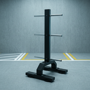 Support vertical pour plaques de musculation, organiseur de rangement pour plaques de poids, pour l'aménagement de salle de sport - Product Image 2