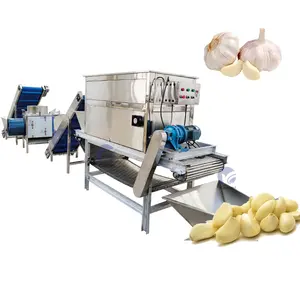 Máquina peladora de ajo tipo cadena, conjunto completo automático, línea de producción de pelado de ajo