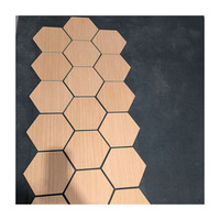 Art du bois Panneau acoustique hexagonal Décoration murale Art mural paramétrique Panneau acoustique 3D pour murs de bureau