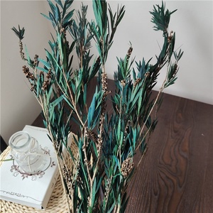 ลูกปัด<span class=keywords><strong>พระ</strong></span>พุทธรูปโรงงานนิรันดร์ช่อดอกไม้แห้งที่เก็บรักษาไว้อุปกรณ์ตกแต่งแบบนิ่มจัดสวนเทศกาลแต่งงานจัดสวน - Product Image 6