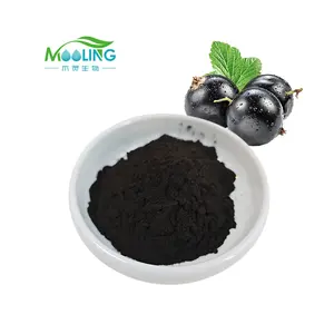 Best Price Natural Black Currant Extract Black Currant Powder