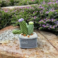 Pot de cactus créatif et unique en crochet fait main pour la décoration de la chambre à coucher, nouvel objet de décoration pour la maison