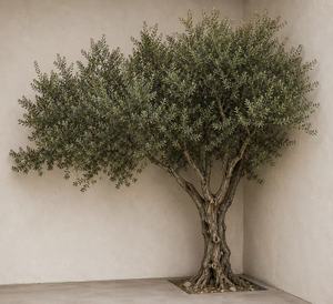 Arbre d'olivier artificiel moderne fait main réaliste <span class=keywords><strong>de</strong></span> 10 pieds, personnalisé <span class=keywords><strong>en</strong></span> usine, pour décoration extérieure, durable, <span class=keywords><strong>en</strong></span> verre, Saint-Valentin, Nouvel An - Product Image 5