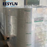 EESYLN Vente en gros étiquette blanche personnalisée synthétique Pp Pvc PET jet d'encre argent mat auto-adhésif papier pour étiquettes thermiques rouleau Jumbo