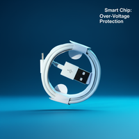 Câble USB L de charge rapide 2.4A, gaine TPE/PVC, longueur 1-3M, garantie 12 mois pour iPhone 14/13/12/11 Pro Max/XR/XS