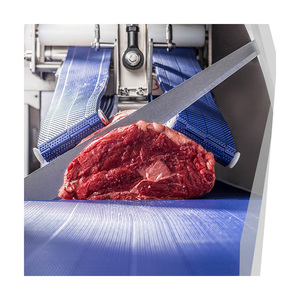 Bifa Multifunctionele Voeding Meervoudig Gebruik Kettingdoorspoelbare Plastic Gaasband Modulaire Transportbanden - Product Image 4