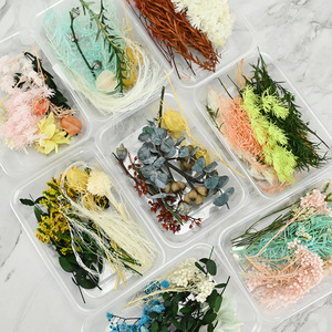 Flor seca DIY Materiales florales Flor eterna Artesanía Decoración para fiesta de boda <span class=keywords><strong>Curso</strong></span> de arte floral Paquete de material artificial - Product Image 3