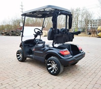 Nuevo Modelo 2025: Carro de Golf Eléctrico de 2 Plazas con 4 Ruedas y Soporte para Bolsa de Pelotas, Buggy Eléctrico para Caza en Venta