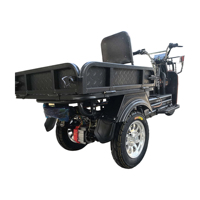 Triciclo Paige de Gran Potencia, Otros Triciclos Motorizados, Scooter de 3 Ruedas, Motocicleta de Baja Velocidad, Triciclo Eléctrico 60V 1500w