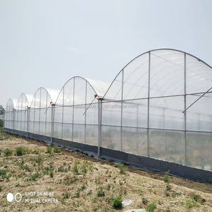 Invernadero de película inteligente de gran oferta con sistema de cultivo hidropónico de Marco en A vertical para huerto - Product Image 4