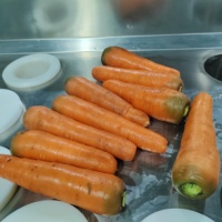 Dq Guangzhou Daqiao Industriële Commerciële Vers Fruit Snijden Verwerking Productielijn Wortel Snijden Machine Motor Kern