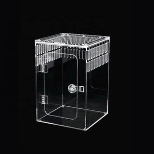 Enceinte d'araignée sautante-Habitat de terrarium en acrylique pour araignées, tarentules, lézards et petits reptiles - Product Image 3