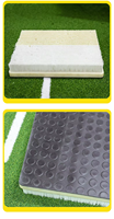 Tapis de Simulation de Golf Transfrontalier pour Bunker, Tapis d'Entraînement de Swing et de Précision, Matériau Gazon, Taille 40x30cm