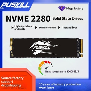 Puji M.2 NVMe Dahili 2.5" Masaüstü Katı Hal Sürücüsü 256G/512G 3000MB/s Okuma Hızı 2500MB/s Yazma Hızı Sınır Ötesi Toptan Satış - Product Image 5
