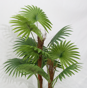 Pianta Artificiale di Palma a Ventaglio Multipolare Altamente Realistica per Decorazione Casa, Hotel e Giardino - Product Image 2