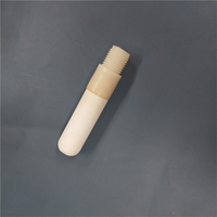 Pointes poreuses sonde en céramique pour tensiomètre de sol couvert diverses spécifications