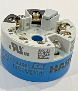 Série de thermomètres haute performance Endress Hauser TMT82, TMT82-AAA2AA1A1AAA1, TMT82-////// - Product Image 1