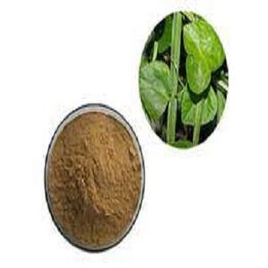 Polvo de extracto de hoja orgánica Cissus Quadrangularis, suplemento Natural puro de alta calidad para la salud ósea y la pérdida de peso - Product Image 3