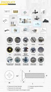 Hebei Fasteners Factory Cabeza de acero inoxidable Cuello cuadrado Truss Carro redondo Tornillo Coach Bolt - Product Image 4