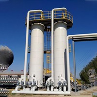 Production professionnelle biogaz hydrogène sulfure purificateur filtre biogaz H2S tour de Purification