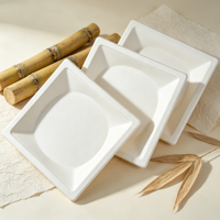 Assiette jetable carrée en bagasse de canne à sucre, résistante à l'huile, compostable, pour aliments chauds