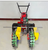 Semoir manuel et automatique à pousser pour légumes : choux, carottes, oignons – Machine à semer les graines de carottes