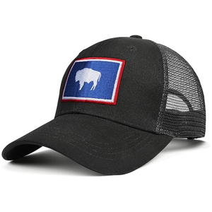 Özel Ayarlanabilir Amerika Kaliforniya Cumhuriyeti Eyalet Bayrağı Nakışlı Yama ile Erkekler ve Kadınlar için Fileli Beyzbol Şapkası - Product Image 2