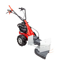 EUROSYSTEMS Débroussailleuse Minieffe avec moteur Briggs & Stratton inversé Tondeuse à gazon à brosse manuelle largement utilisée