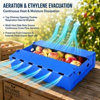 Boîte d'emballage pour pommes en PP ondulé imperméable, robuste, empilable, pour le transport de fruits frais en entrepôt frigorifique