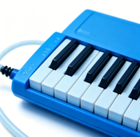 37-Key Resin Melodica Piano Keyboard with Hard Case Portable Mouth Organ for Kids & Music Beginners Model X001-1 (China)