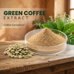 Extrait de café vert en poudre (60%) - Extrait de graines de Coffea Canephora - Extrait à base de plantes soluble dans l'eau - Pour compléments alimentaires et aliments santé - Product Image 2